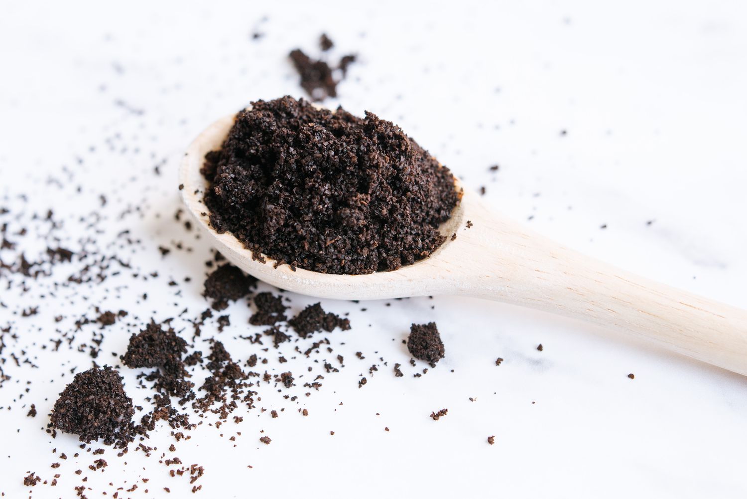 Are Coffee Grounds Bad for Garbage Disposal All Garbage Disposal